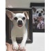 Head & Paws Pet Portraits Handmade 3D Cat Wool Needle Felt Portraits with Wooden Frame | PetsMatter Head & Paws Pet Portraits Handmade 3D Cat Wool Needle Felt Portraits with Wooden Frame | PetsMatter