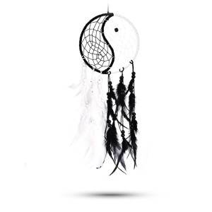 Dream Catchers (7)