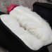 Winter Canvas Tao Sig Shoes