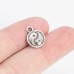 Tao Sig Charms Bulk (30 Pieces)
