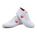 Authentic Tai Chi Shoes
