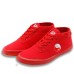 Authentic Tai Chi Shoes