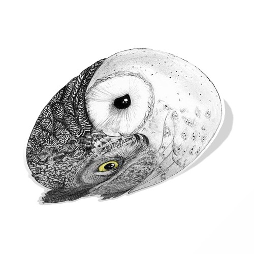 Owl Laptop Yin Yang Sticker