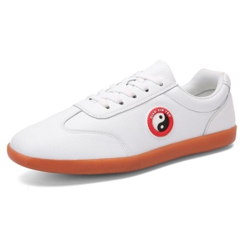 Tai Chi Shoes Leather