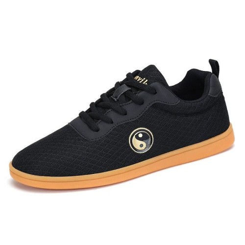 Taiji Shoes